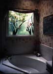 bathrooms077